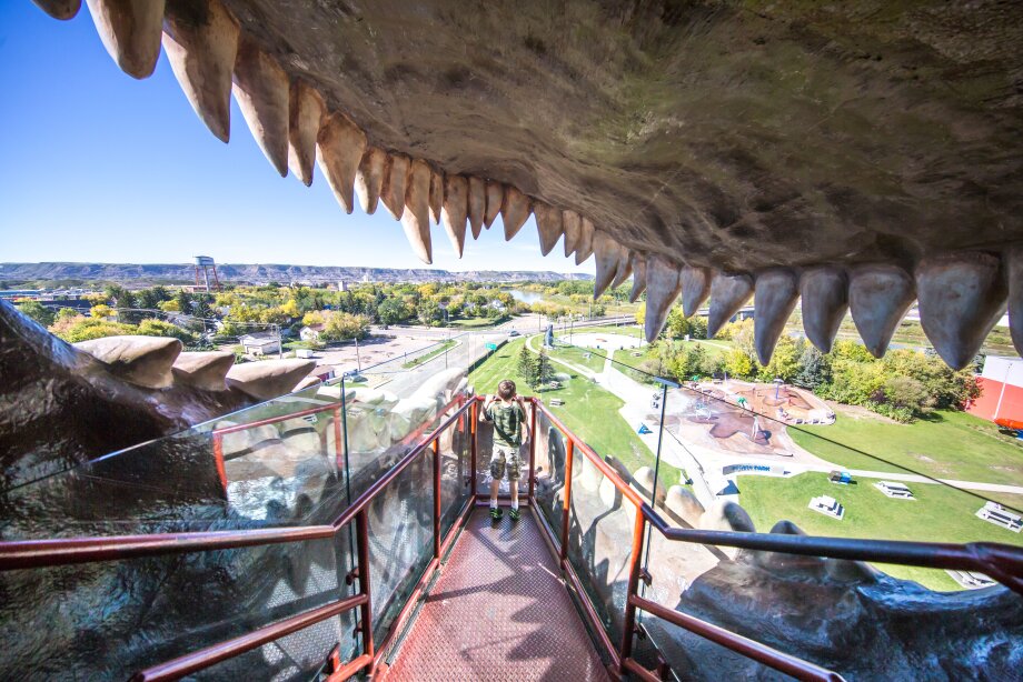 Little boy looking out of the mouth of the World's Largest Dinosaur a model Tyrannosaurus Rex
