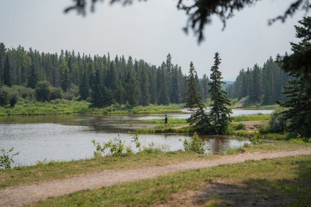 Person fishing in lake, trail leading through scene at McLean Creek Campground