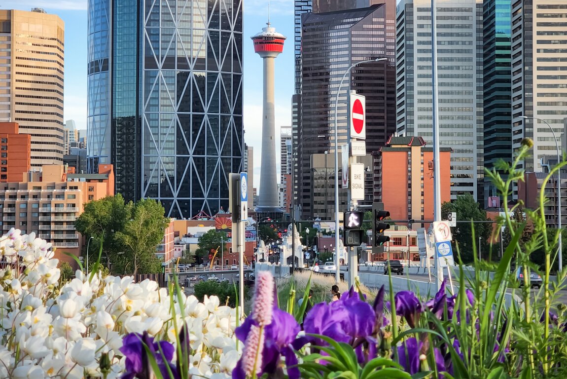 Centre street downtown Calgary