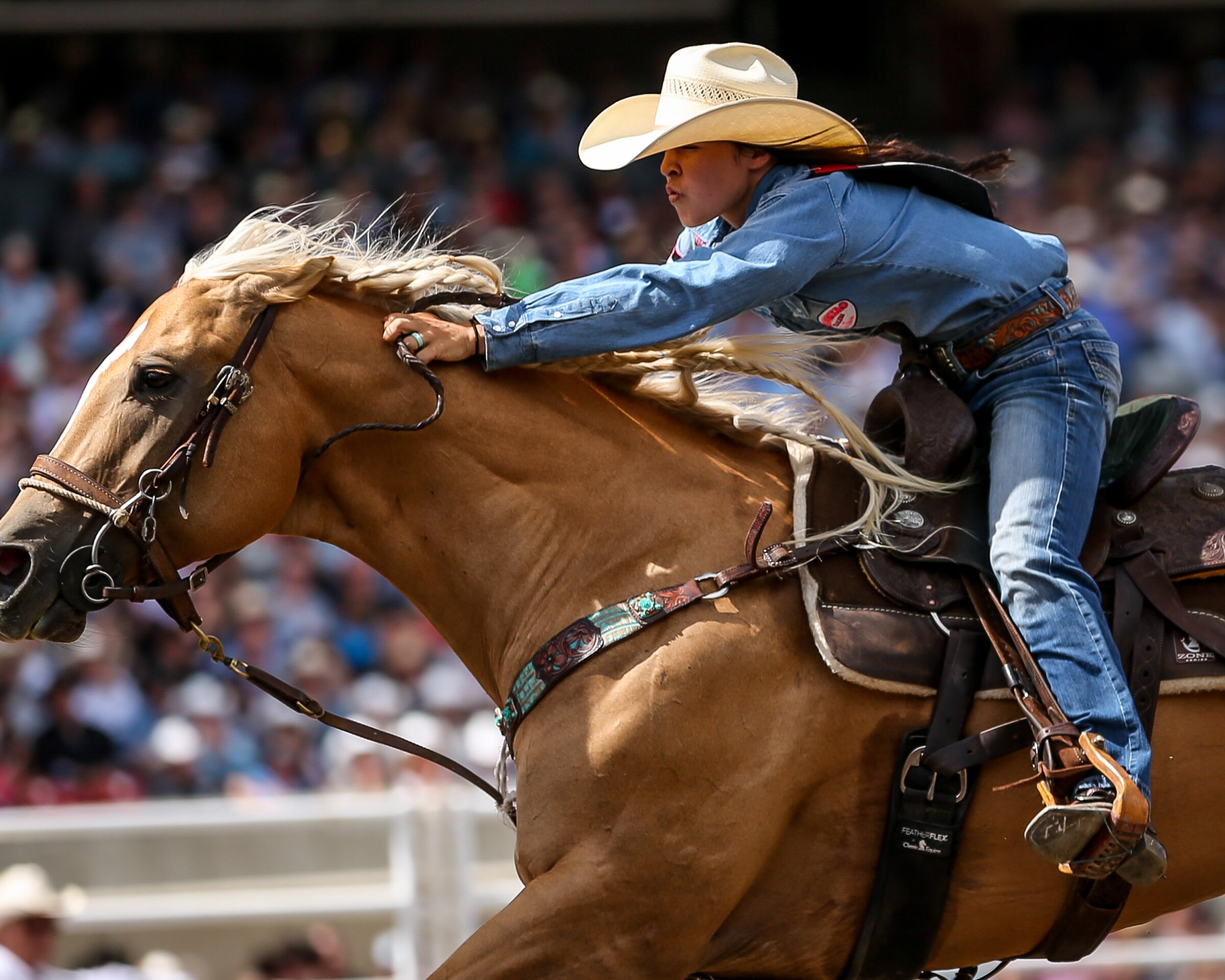Woman on horse competing in english riding at Calgary Stampede