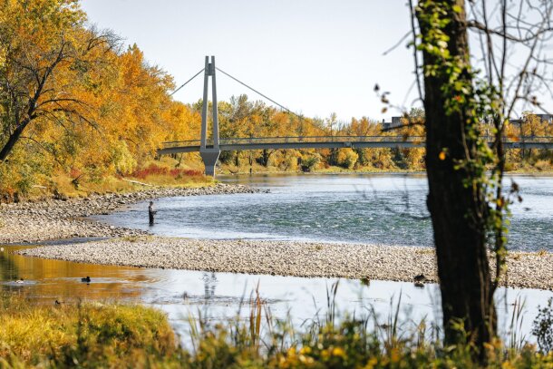 A man fishing the Bow River in Carburn Park.