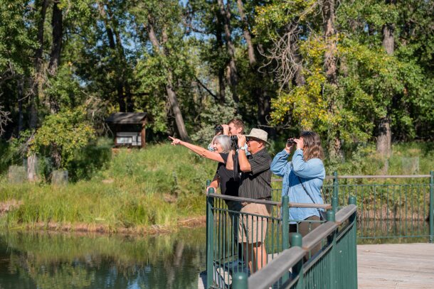 A family standing on a bridge at the Inglewood Bird Sanctuary