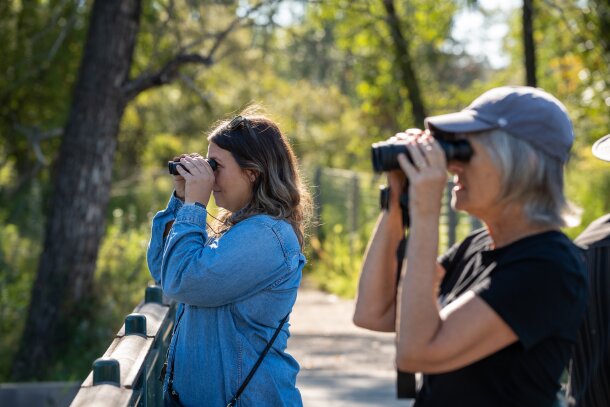 birding has become a hugely popular activity for nature-lovers of all ages