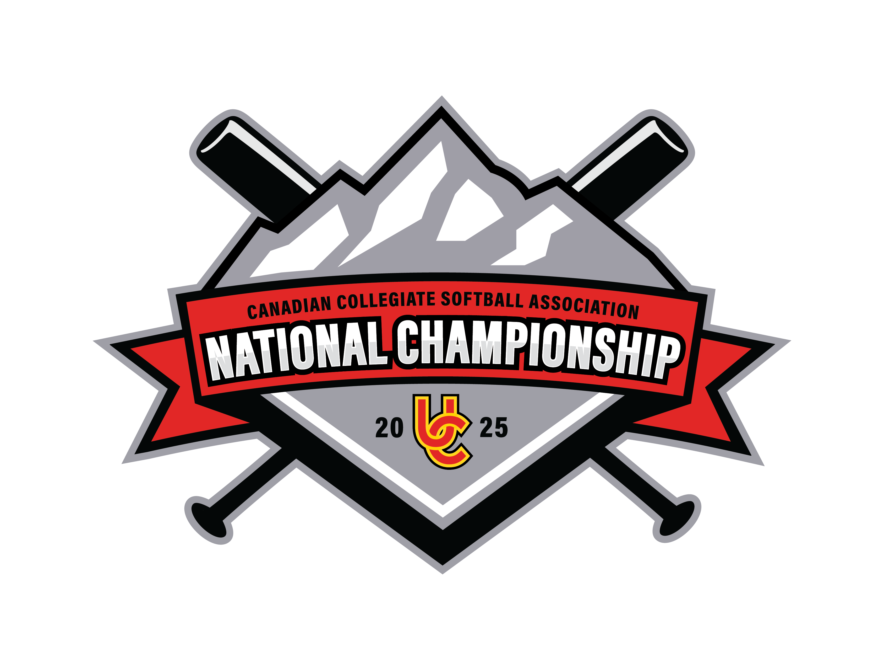ccsa logo
